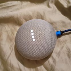 Google Speaker Home?