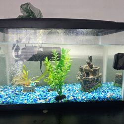 A 10 gal Fresh water fish tank
