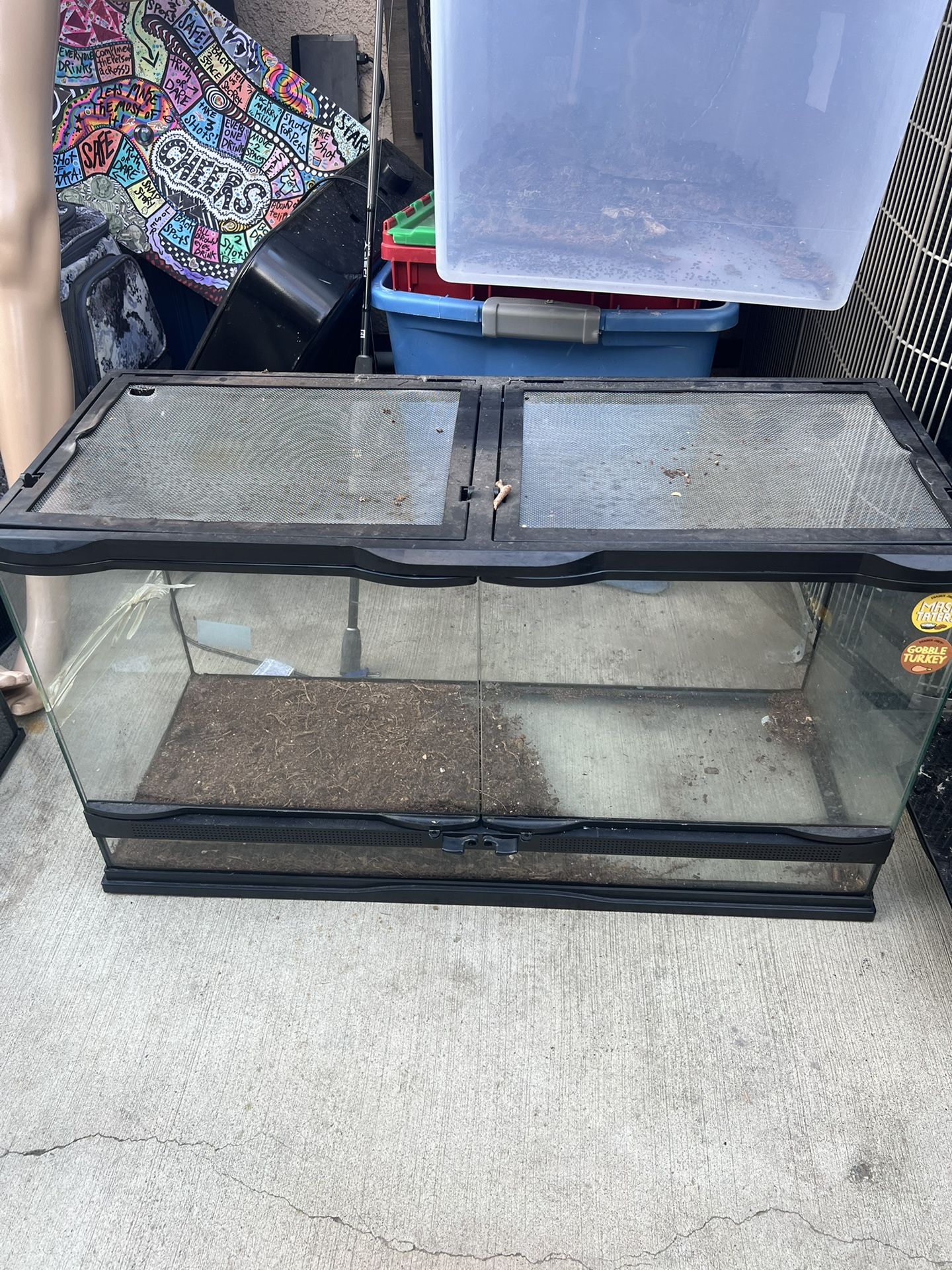 Reptile Enclosure