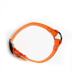Biothane Dog Collar 