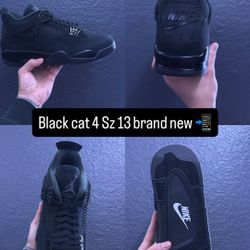 Black Cat 4 Sz 13