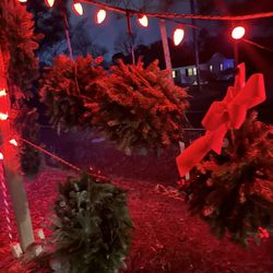 💢$15 Natural Wreath Sale 💢