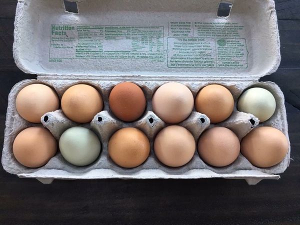 Farm Fresh Chicken Eggs Near Me | See More...