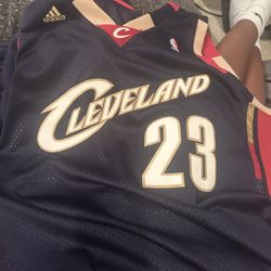 Lebron Vintage Jersey 