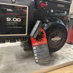 Briggs And Stratton 900 Inter 205cc. 9 HP