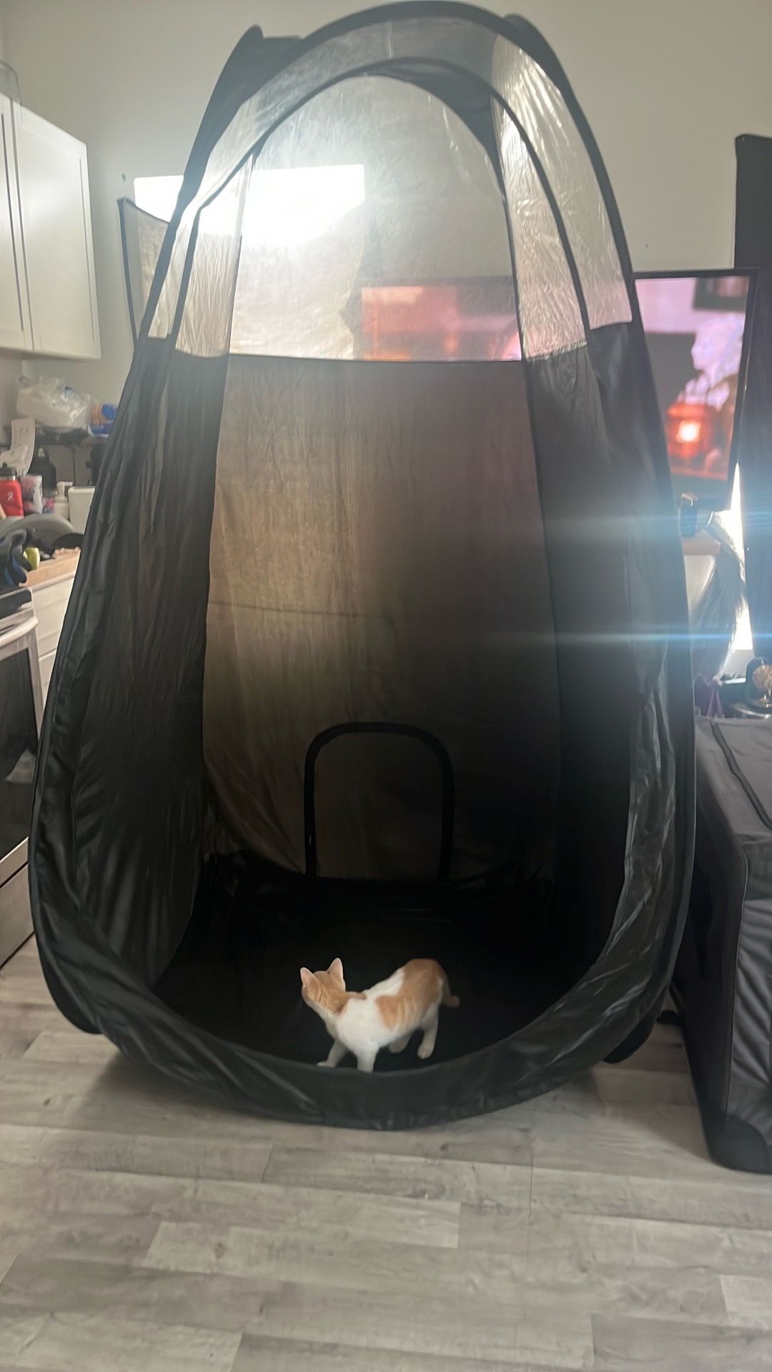 Spray tanning tent