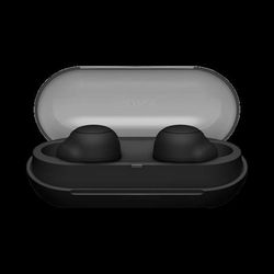 Sony WF-C500 True Wireless In-Ear Headphone 

