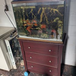 60 Gallon Fish Tank And Stand