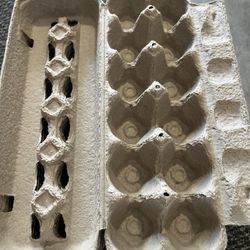 Eggs Cartons 
