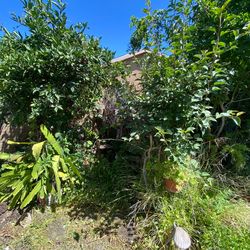 Cleanups 100% Guaranteed