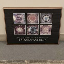 Mid-Size Framed Poster - DOMES of AMERICA - posted price is firm.