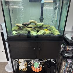 37 Gallon Aquarium