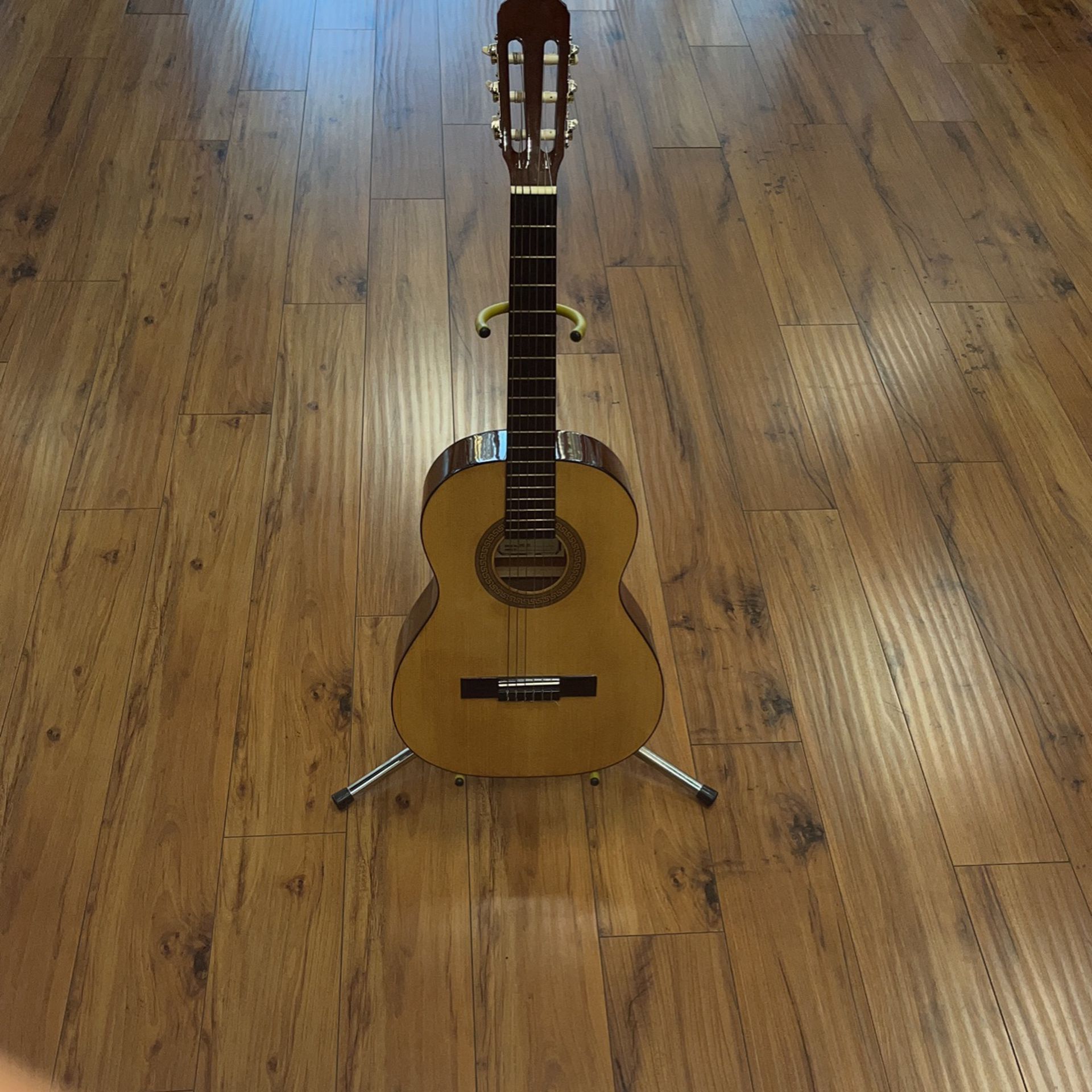 Hohner Guitar, HC03, Soft Case, In Great Condition