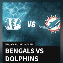Bengals vs Dolphins with Yellow Parking