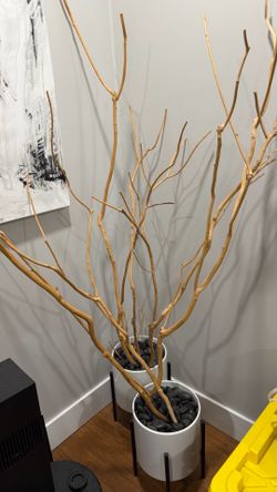 Reptile decorative wood branches - chameleon friendly