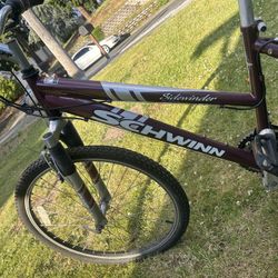Schwinn Bike 