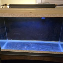 29 Gallon Aquarium 