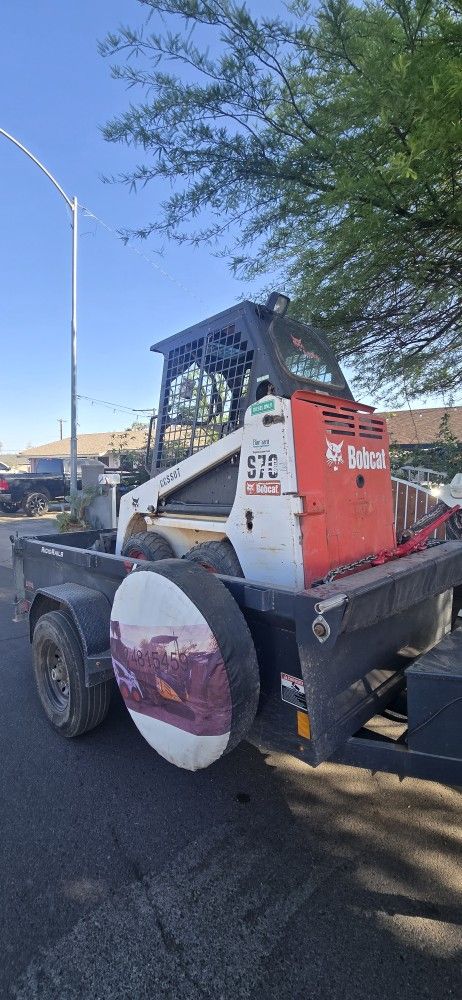 Bobcat