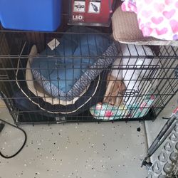 Dog CRATE AND DOG BEDS