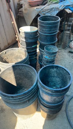 60 gallons plastic post plant