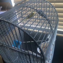 Metal Cages 