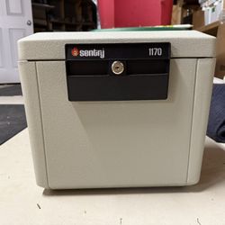 Sentry 1170 Fire Safe