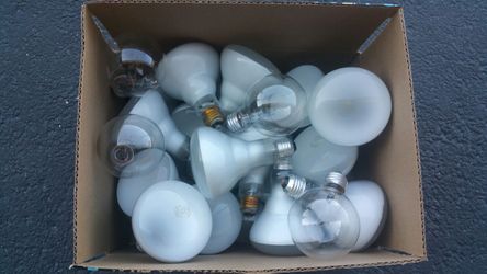 22 bulbs