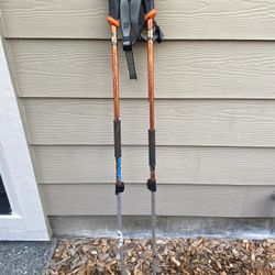 Adjustable Ski Poles