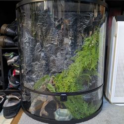 Reptile Tank