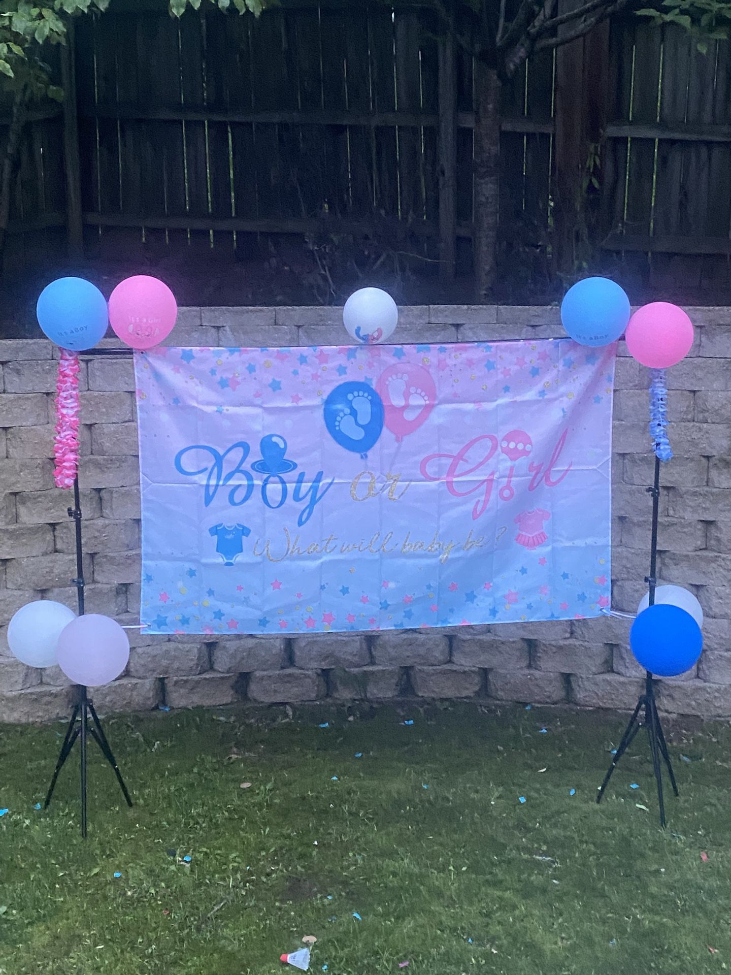 Gender Reveal Party Supplies