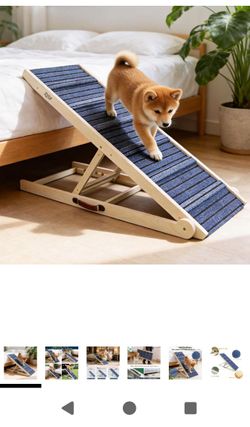 Pet ladder