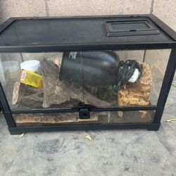 Reptile Enclosure + Extras