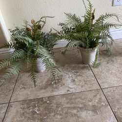 Fake House Plants