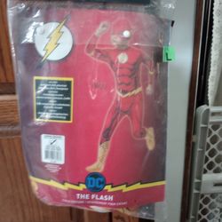 The Flash Costume