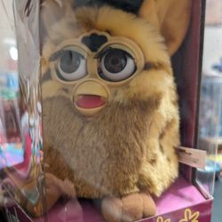 Furby lizard, Generation 5 New In Box, Brown Eyes Rare