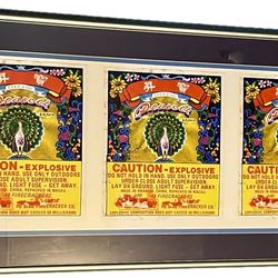 Peacock firecracker art print