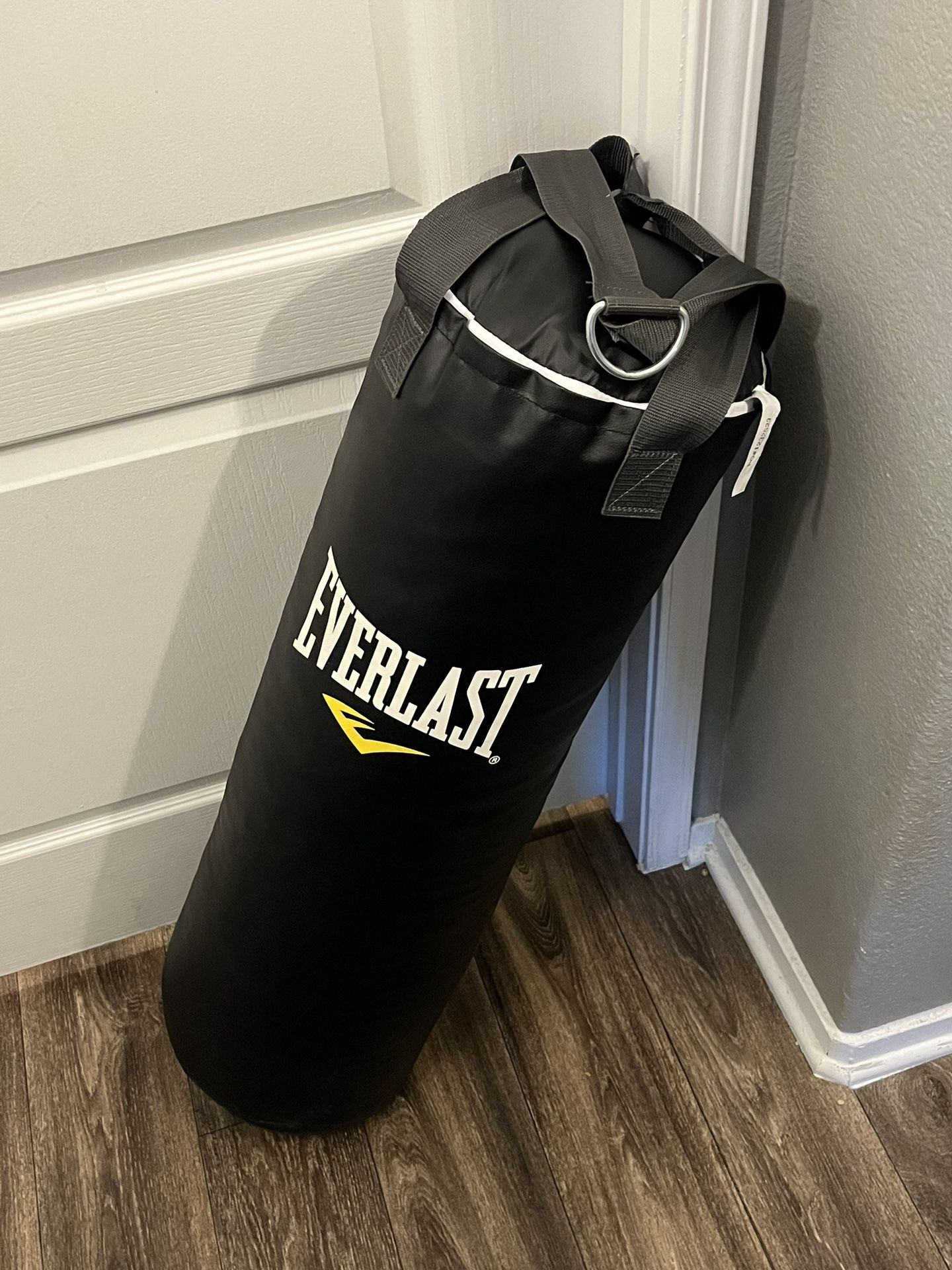 Everlast Punching Bag