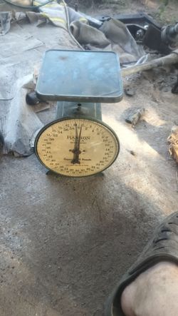 A middle scale everything in there where you can wait your stuff like if you're selling tomatoes you set them on there you can weigh it out as is