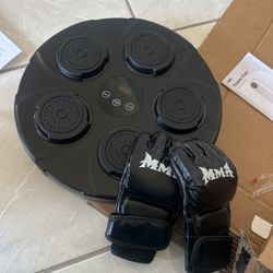 Music Boxing Machine with Boxing Gloves, Wall Mounted Smart Bluetooth Music Boxing Trainer, Electronic Boxing Target Workout