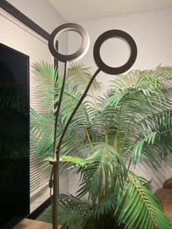 White elegant  lamp
