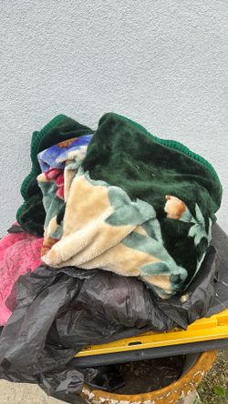Mexican Blanket