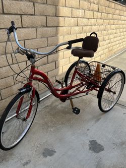 Tricycle Bike