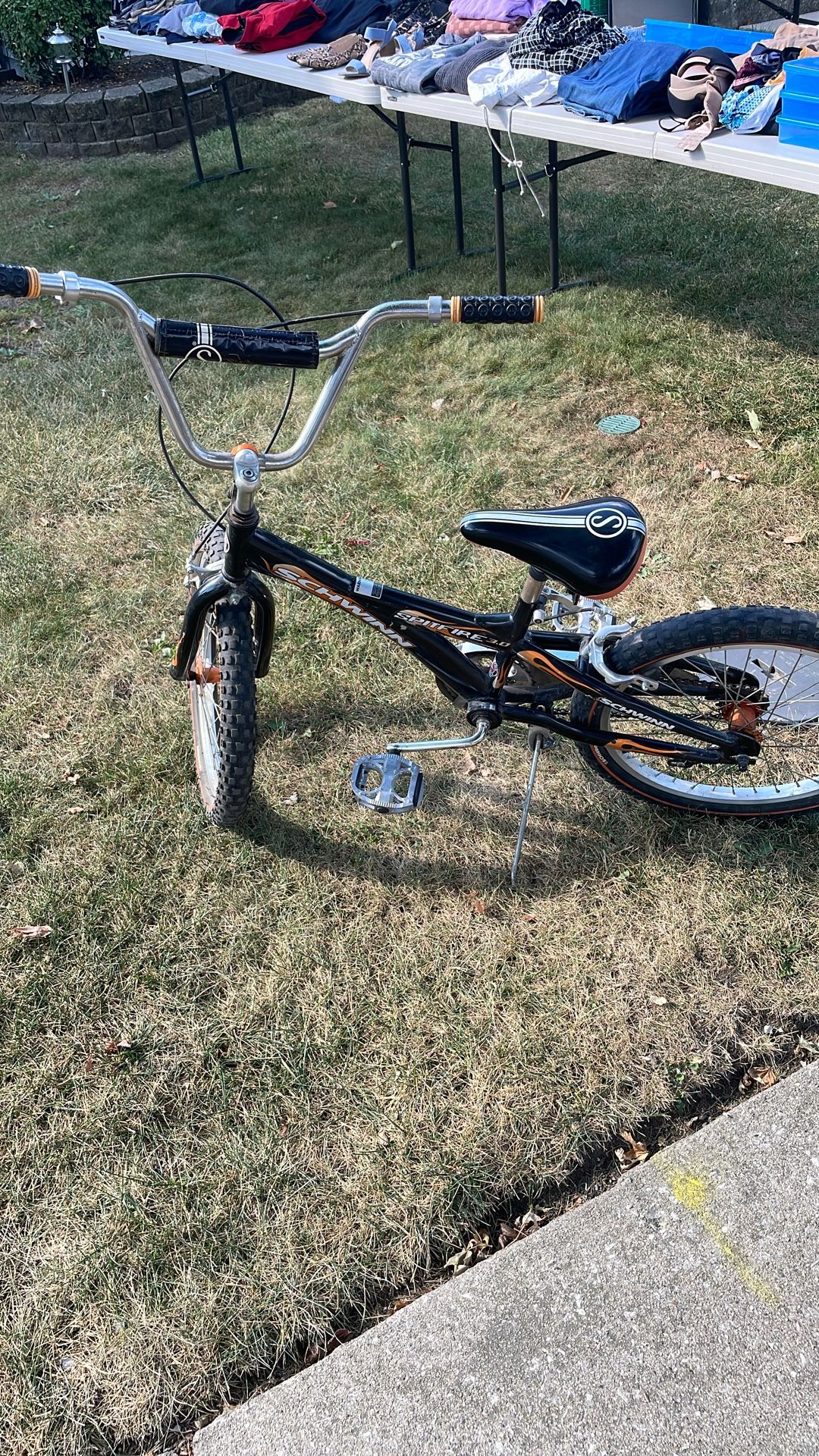 20 Inch Schwinn Bike
