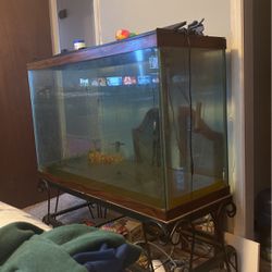 112 Gallon Fish Tank