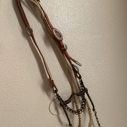 Horse Bridle