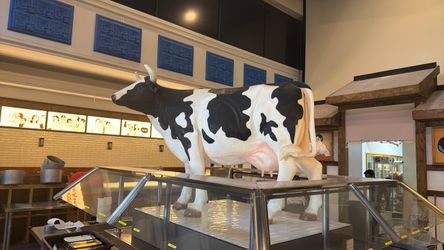 Cow
