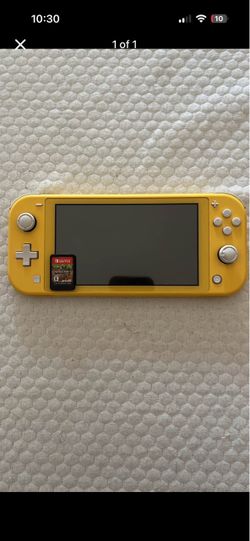 nintendo switch light