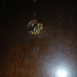 The Price Is 20$ It Is Fake But It Looks Rille And You Can Prank Your Friends 