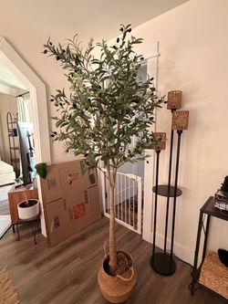 7FT Artificial Olive Tree + Basket