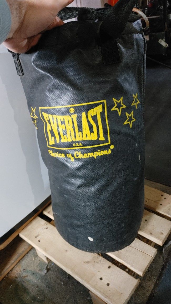 Small Punching Bag